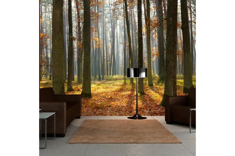 Fototapet Autumn Trees 400x309 - Artgeist sp. z o. o. - Inredning & dekor - Väggdekor - Tapeter & tapettillbehör - Fototapeter