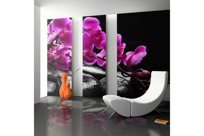 FOTOTAPET Avkopplande Stund Orkidé Och Stenar 200x154 - Artgeist sp. z o. o. - Inredning & dekor - Väggdekor - Tapeter & tapettillbehör - Fototapeter