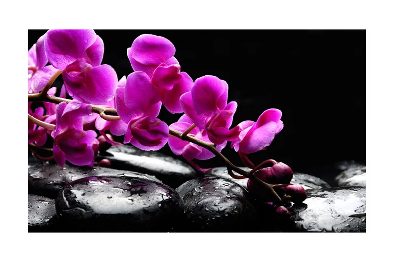 Fototapet Avkopplande Stund Orkidé Och Stenar 450x270 - Artgeist sp. z o. o. - Inredning & dekor - Väggdekor - Tapeter & tapettillbehör - Fototapeter