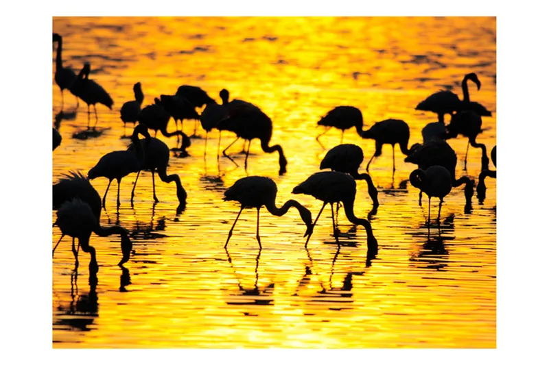 Fototapet Avkopplande Stund Orkidé & Stenar 200x154, Artgeist sp. z o. o.