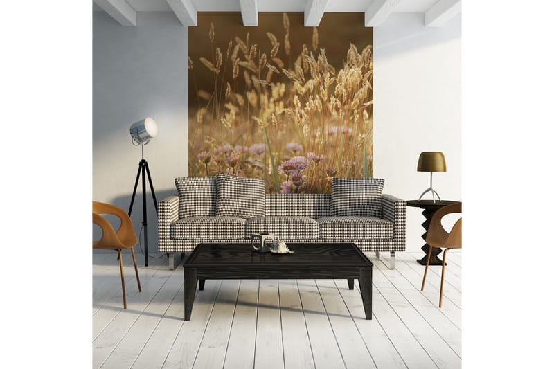 FOTOTAPET Awakening Ceral Field 250x193 - Artgeist sp. z o. o. - Inredning & dekor - Väggdekor - Tapeter & tapettillbehör - Fototapeter