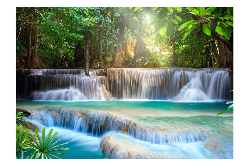 FOTOTAPET Awakening Of Nature 400x280 - Artgeist sp. z o. o. - Inredning & dekor - Väggdekor - Tapeter & tapettillbehör - Fototapeter