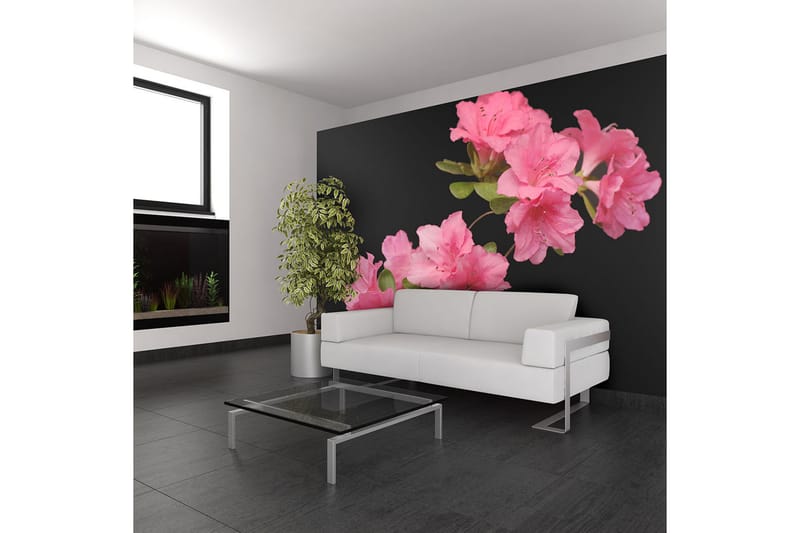 FOTOTAPET Azalea In Black 200x154 - Artgeist sp. z o. o. - Inredning & dekor - Väggdekor - Tapeter & tapettillbehör - Fototapeter