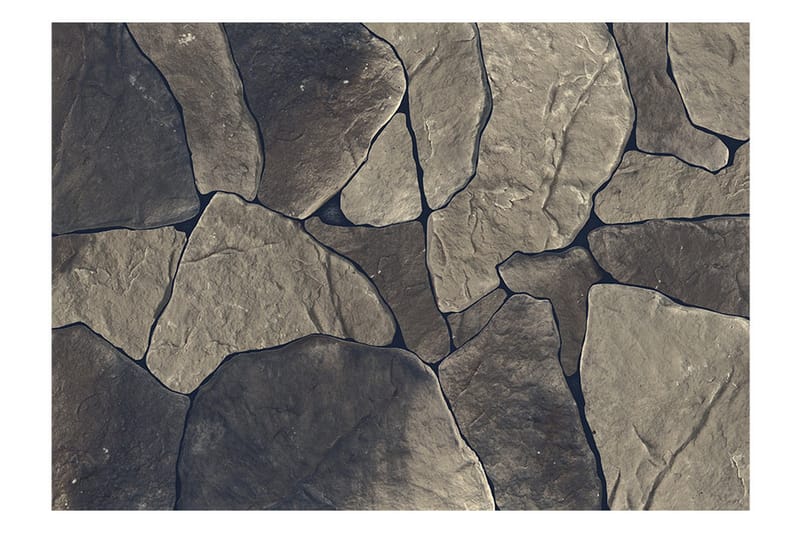 FOTOTAPET Baltic Brown 400x280 - Artgeist sp. z o. o. - Inredning & dekor - Väggdekor - Tapeter & tapettillbehör - Fototapeter