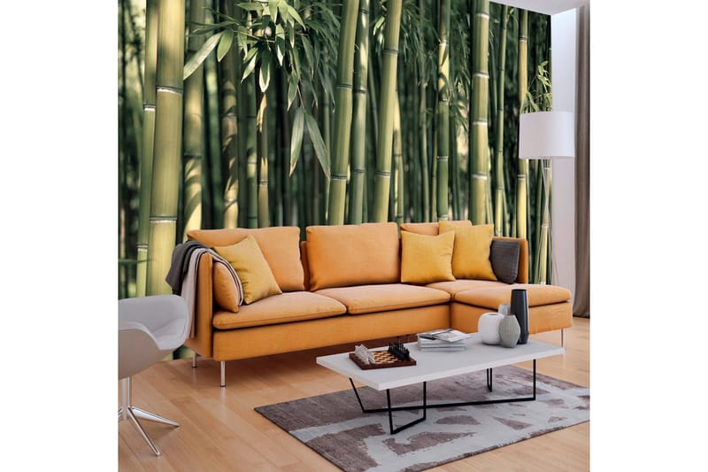 FOTOTAPET Bamboo Exotic 300x210 - Artgeist sp. z o. o. - Inredning & dekor - Väggdekor - Tapeter & tapettillbehör - Fototapeter