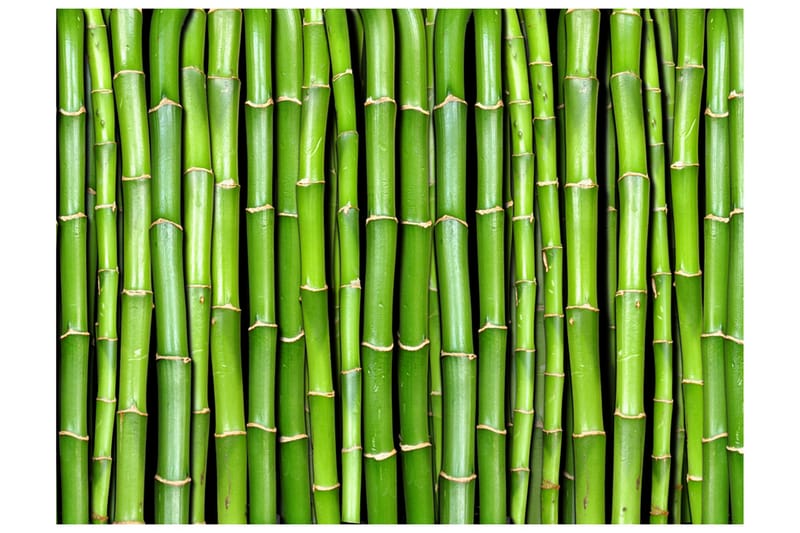 FOTOTAPET Bamboo Wall 300x231 - Artgeist sp. z o. o. - Inredning & dekor - Väggdekor - Tapeter & tapettillbehör - Fototapeter