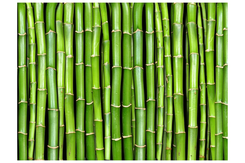Fototapet Bamboo Wall 350x270, Artgeist sp. z o. o.