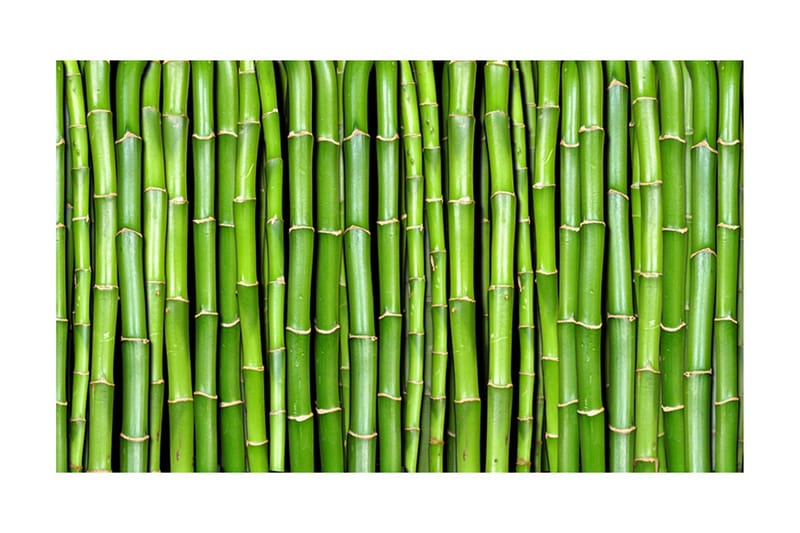 Fototapet Bamboo Wall 450x270, Artgeist sp. z o. o.