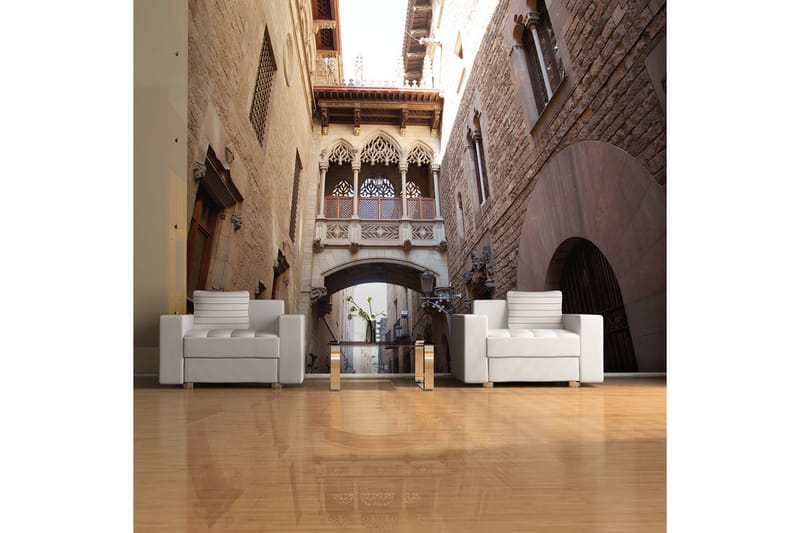 FOTOTAPET Barcelona Palau Generalitat 250x193 - Artgeist sp. z o. o. - Inredning & dekor - Väggdekor - Tapeter & tapettillbehör - Fototapeter