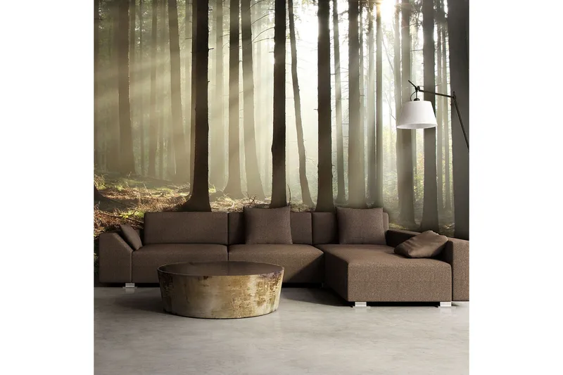 Fototapet Barrskog 450x270 - Artgeist sp. z o. o. - Inredning & dekor - Väggdekor - Tapeter & tapettillbehör - Fototapeter