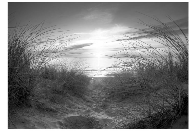 Fototapet Beach Black And White 350x245 - Artgeist sp. z o. o. - Inredning & dekor - Väggdekor - Tapeter & tapettillbehör - Fototapeter
