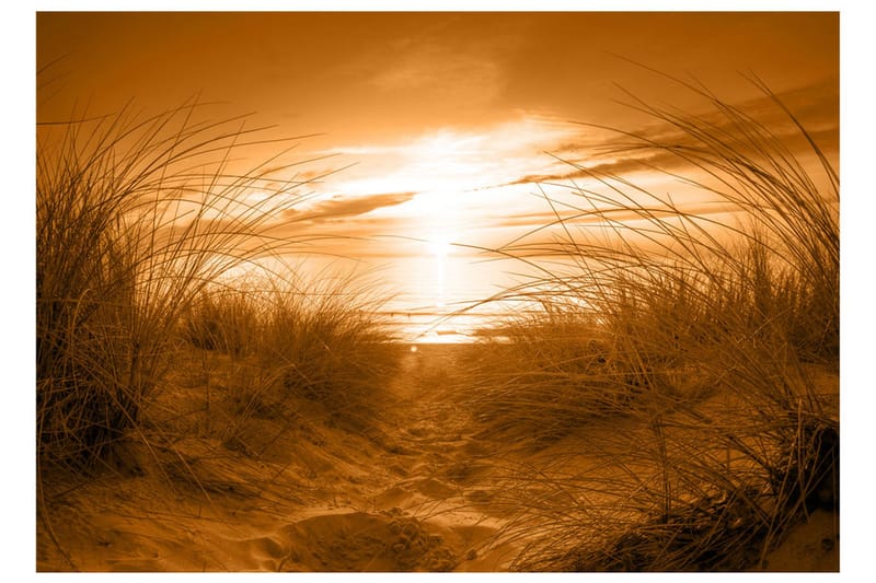 Fototapet Beach Sepia 200x140 - Artgeist sp. z o. o. - Inredning & dekor - Väggdekor - Tapeter & tapettillbehör - Fototapeter