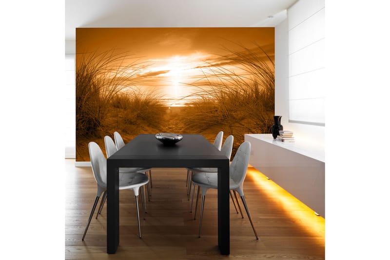 FOTOTAPET Beach Sepia 250x175 - Artgeist sp. z o. o. - Inredning & dekor - Väggdekor - Tapeter & tapettillbehör - Fototapeter