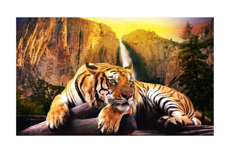 Fototapet Beauty And The Beast 450x270 - Artgeist sp. z o. o. - Inredning & dekor - Väggdekor - Tapeter & tapettillbehör - Fototapeter