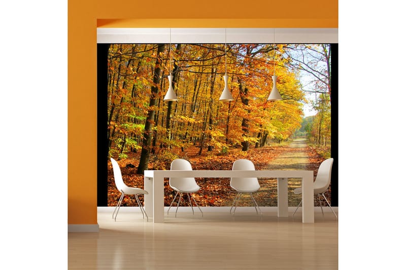 Fototapet Beech Forest 200x154 - Artgeist sp. z o. o. - Inredning & dekor - Väggdekor - Tapeter & tapettillbehör - Fototapeter