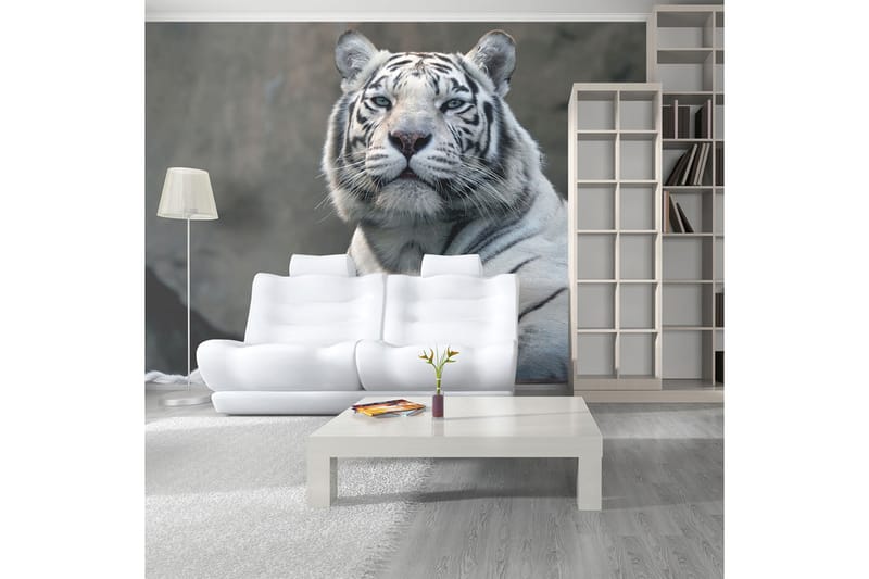 FOTOTAPET Bengali Tiger Zoo 450x270 - Artgeist sp. z o. o. - Inredning & dekor - Väggdekor - Tapeter & tapettillbehör - Fototapeter