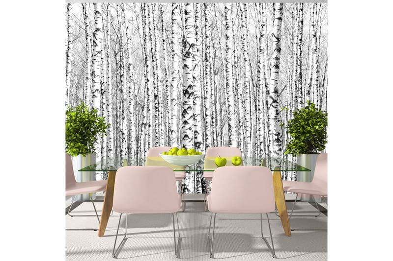 FOTOTAPET Birch Forest 400x280, Artgeist sp. z o. o.