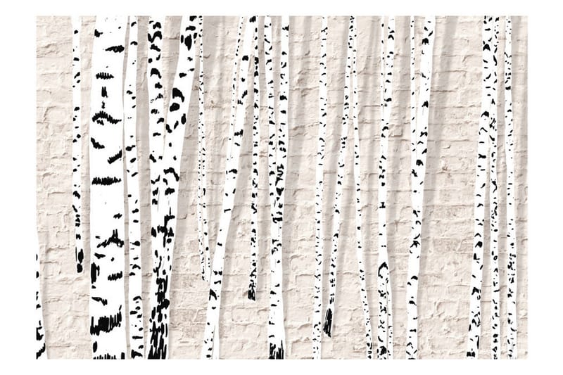 Fototapet Birchen Grove 300x210 - Artgeist sp. z o. o. - Inredning & dekor - Väggdekor - Tapeter & tapettillbehör - Fototapeter