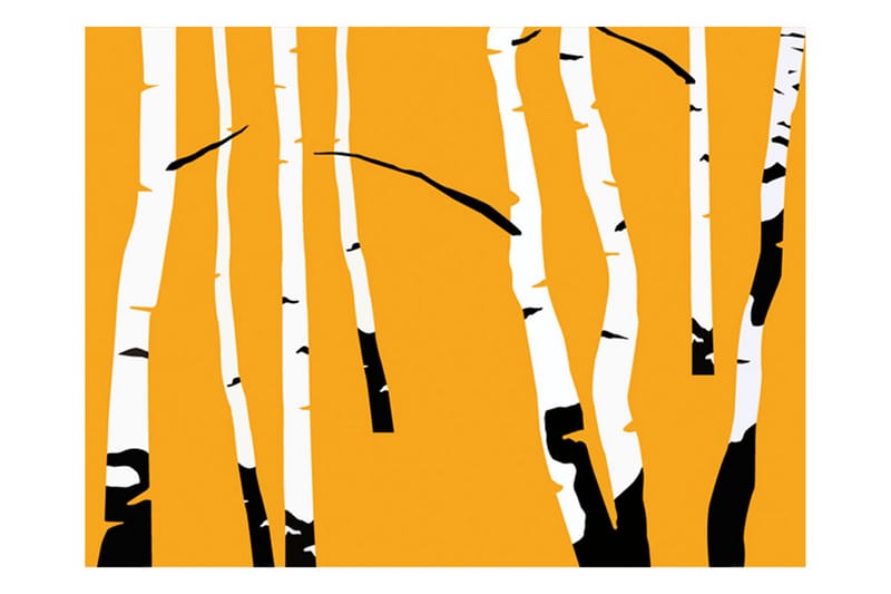 FOTOTAPET Birches On The Orange Background 350x270 - Artgeist sp. z o. o. - Inredning & dekor - Väggdekor - Tapeter & tapettillbehör - Fototapeter