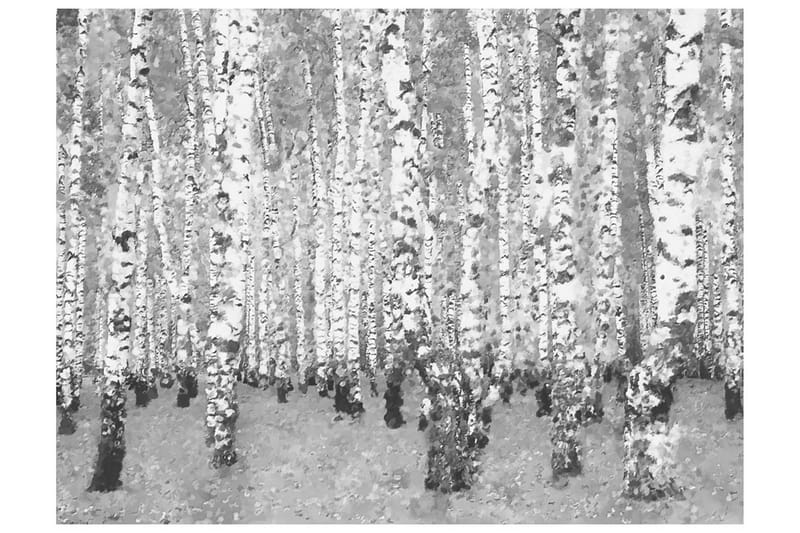 Fototapet Björk Avskildhet 300x231, Artgeist sp. z o. o.