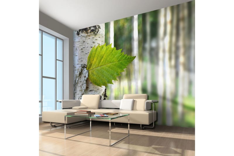 Fototapet Björklöv 400x309 - Artgeist sp. z o. o. - Inredning & dekor - Väggdekor - Tapeter & tapettillbehör - Fototapeter