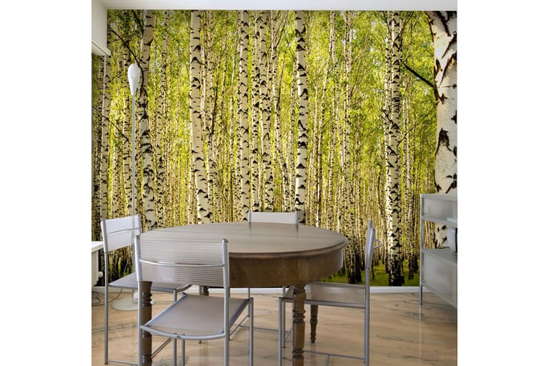 FOTOTAPET Björkskog 250x193, Artgeist sp. z o. o.