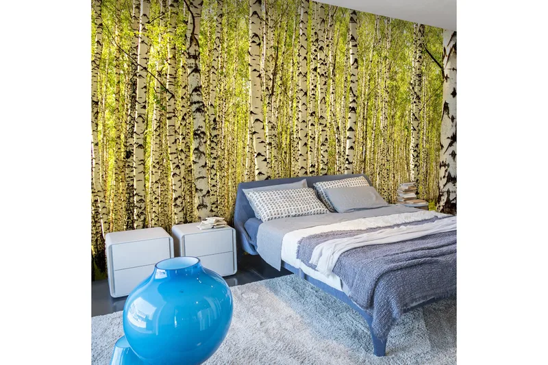 Fototapet Björkskog 450x270, Artgeist sp. z o. o.