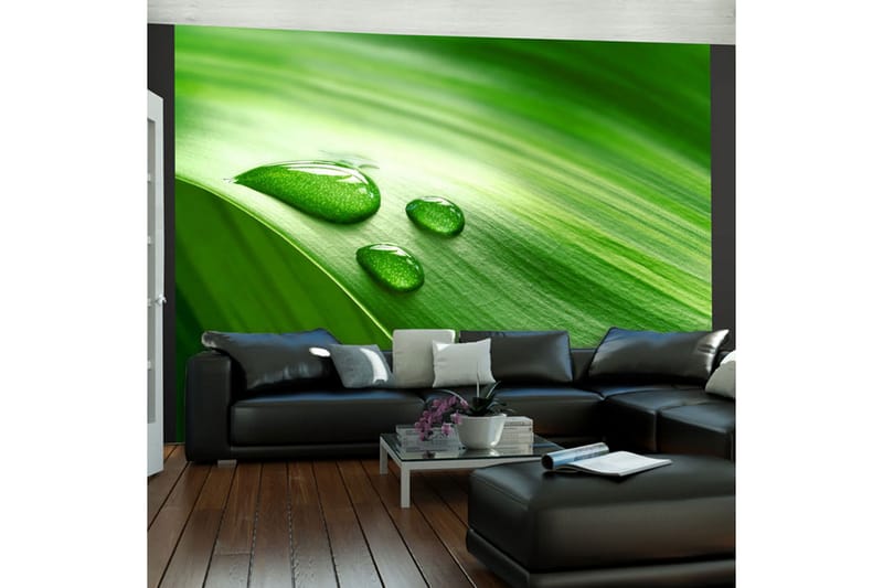 FOTOTAPET Blad Och Tre Droppar Vatten 350x270 - Artgeist sp. z o. o. - Inredning & dekor - Väggdekor - Tapeter & tapettillbehör - Fototapeter
