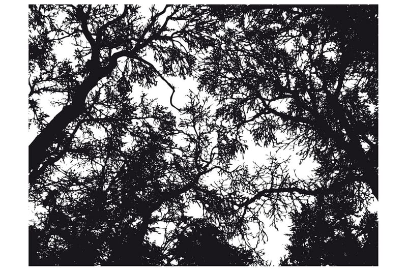 Fototapet Bleak Forest 200x154 - Artgeist sp. z o. o. - Inredning & dekor - Väggdekor - Tapeter & tapettillbehör - Fototapeter