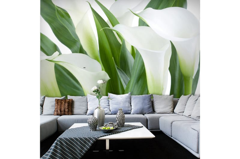 Fototapet Blombukett Kallor 350x270, Artgeist sp. z o. o.