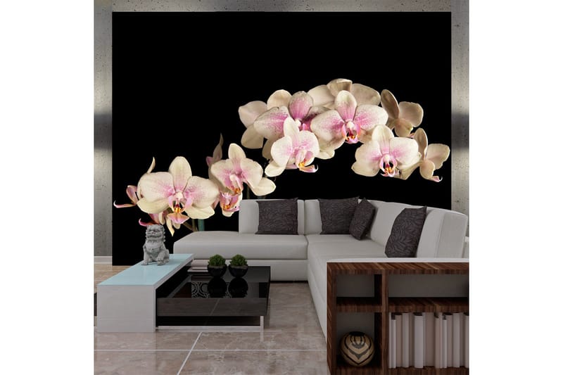 Fototapet Blooming Orchid 400x309, Artgeist sp. z o. o.