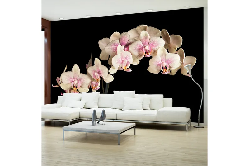 Fototapet Blooming Orchid 450x270, Artgeist sp. z o. o.