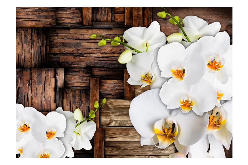 FOTOTAPET Blooming Orchids 100x70 - Artgeist sp. z o. o. - Inredning & dekor - Väggdekor - Tapeter & tapettillbehör - Fototapeter