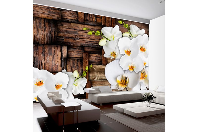 FOTOTAPET Blooming Orchids 400x280 - Artgeist sp. z o. o. - Inredning & dekor - Väggdekor - Tapeter & tapettillbehör - Fototapeter