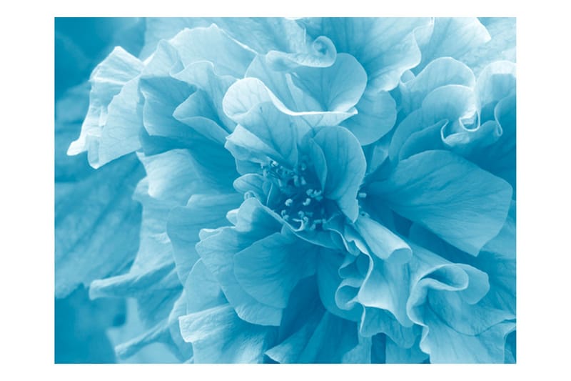 Fototapet Blue Azalea 350x270 - Artgeist sp. z o. o. - Inredning & dekor - Väggdekor - Tapeter & tapettillbehör - Fototapeter
