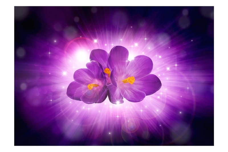 Fototapet Breath Of Spring 400x280 - Artgeist sp. z o. o. - Inredning & dekor - Väggdekor - Tapeter & tapettillbehör - Fototapeter
