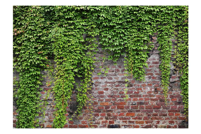 Fototapet Brick And Ivy 400x280 - Artgeist sp. z o. o. - Inredning & dekor - Väggdekor - Tapeter & tapettillbehör - Fototapeter