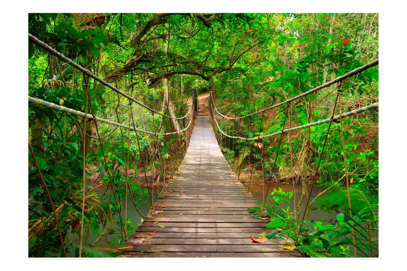 FOTOTAPET Bridge Amid Greenery 300x210 - Artgeist sp. z o. o. - Inredning & dekor - Väggdekor - Tapeter & tapettillbehör - Fototapeter