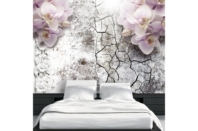 Fototapet Bright Red Orchids 250x175, Artgeist sp. z o. o.