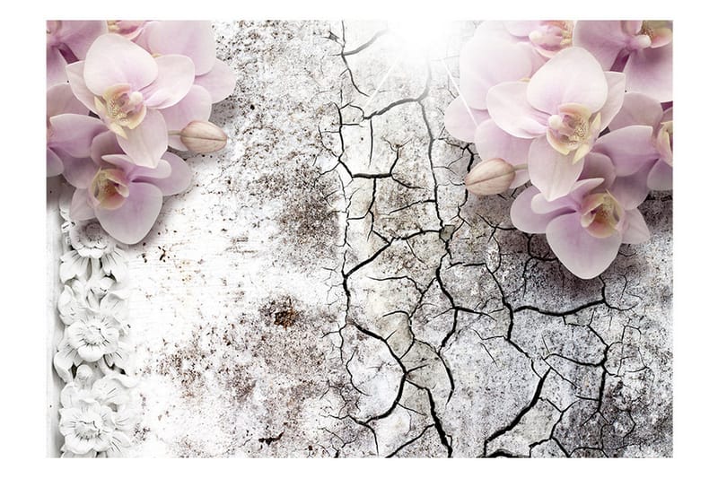 FOTOTAPET Bright Red Orchids 350x245 - Artgeist sp. z o. o. - Inredning & dekor - Väggdekor - Tapeter & tapettillbehör - Fototapeter