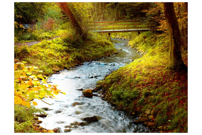 FOTOTAPET Brook Sunrise 300x231 - Artgeist sp. z o. o. - Inredning & dekor - Väggdekor - Tapeter & tapettillbehör - Fototapeter
