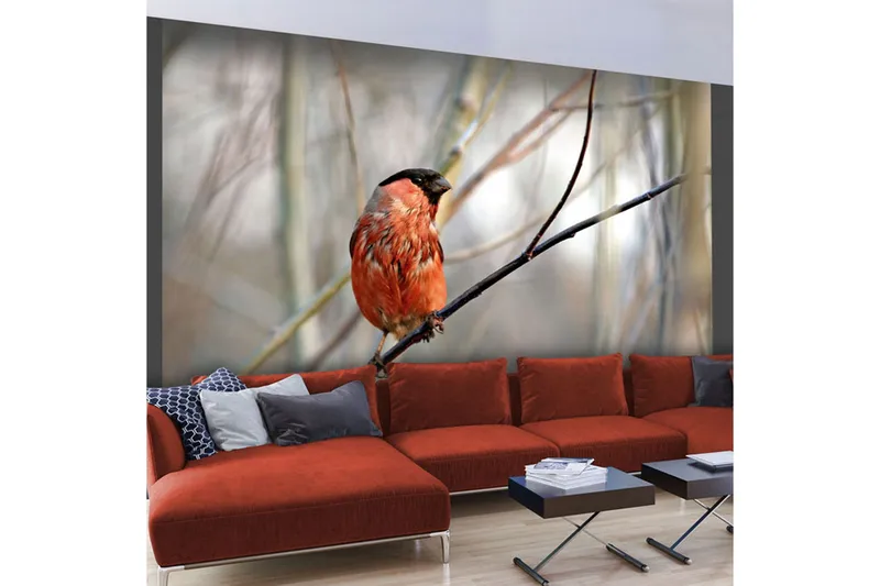 Fototapet Bullfinch In The Forest 200x154 - Artgeist sp. z o. o. - Inredning & dekor - Väggdekor - Tapeter & tapettillbehör - Fototapeter