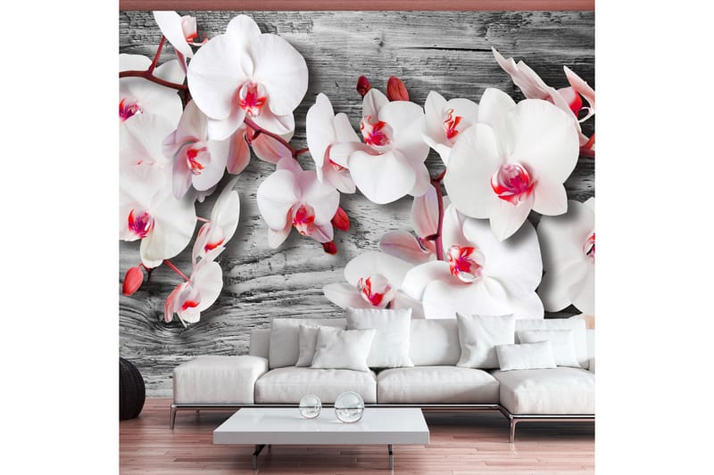 FOTOTAPET Callous Orchids 250x175 - Artgeist sp. z o. o. - Inredning & dekor - Väggdekor - Tapeter & tapettillbehör - Fototapeter