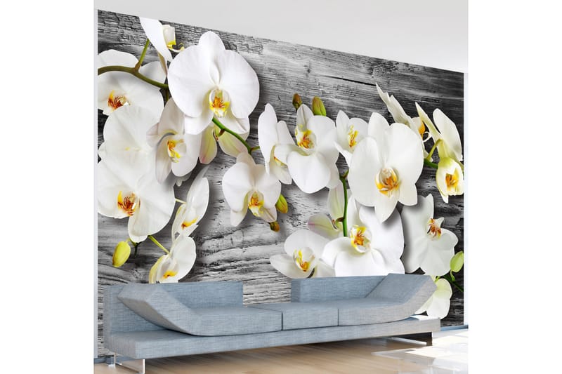 FOTOTAPET Callous Orchids III 150x105 - Artgeist sp. z o. o. - Inredning & dekor - Väggdekor - Tapeter & tapettillbehör - Fototapeter