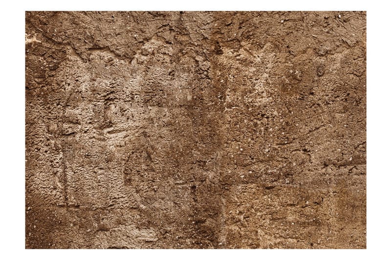 FOTOTAPET Cave Of Time 400x280 - Artgeist sp. z o. o. - Inredning & dekor - Väggdekor - Tapeter & tapettillbehör - Fototapeter