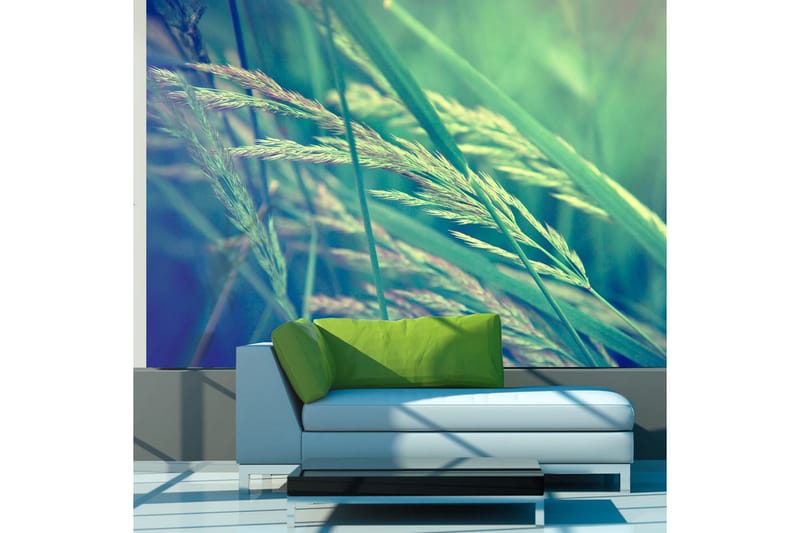 FOTOTAPET Cereal Field 200x154 - Artgeist sp. z o. o. - Inredning & dekor - Väggdekor - Tapeter & tapettillbehör - Fototapeter