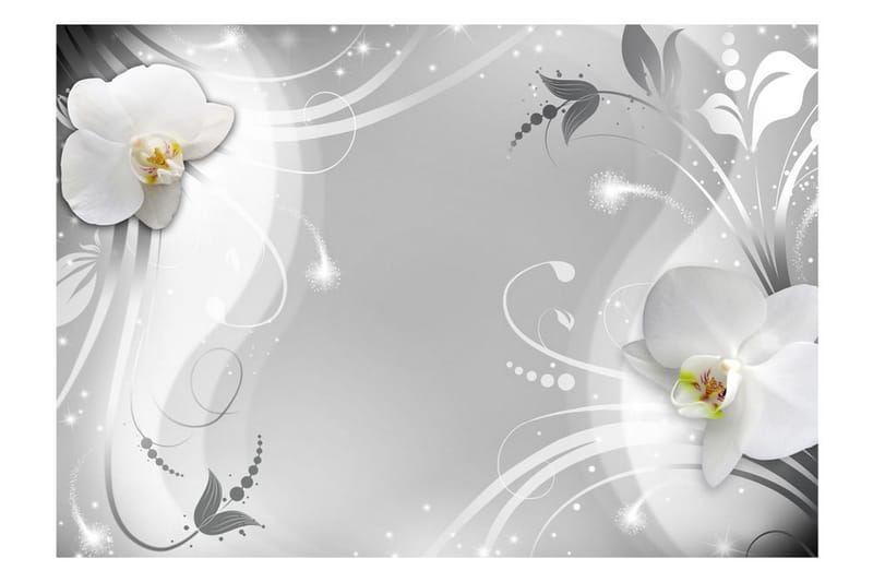 FOTOTAPET Charming Orchid 400x280 - Artgeist sp. z o. o. - Inredning & dekor - Väggdekor - Tapeter & tapettillbehör - Fototapeter