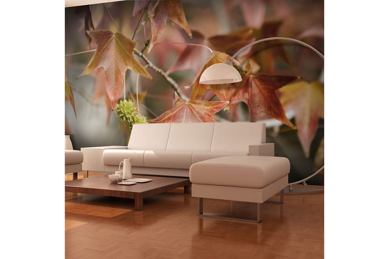 FOTOTAPET Chestnut 300x231 - Artgeist sp. z o. o. - Inredning & dekor - Väggdekor - Tapeter & tapettillbehör - Fototapeter