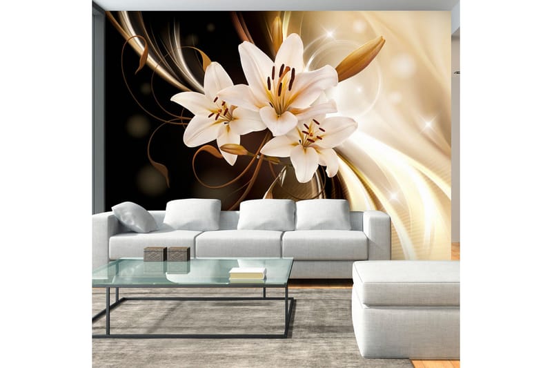 FOTOTAPET Circle Of Light 250x175, Artgeist sp. z o. o.