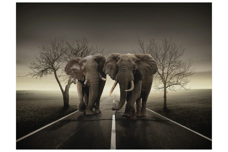FOTOTAPET City Of Elefanter 250x193, Artgeist sp. z o. o.